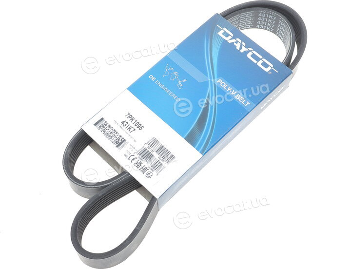 Dayco 7PK1095