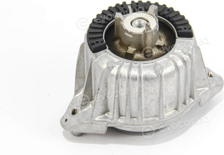 Corteco 80001805