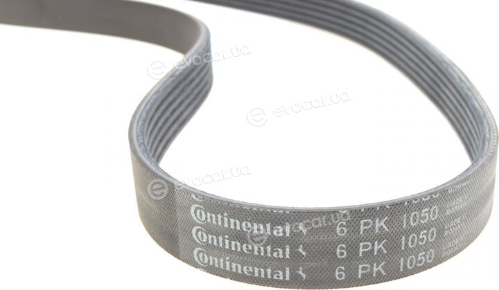 Continental 6PK1050K3