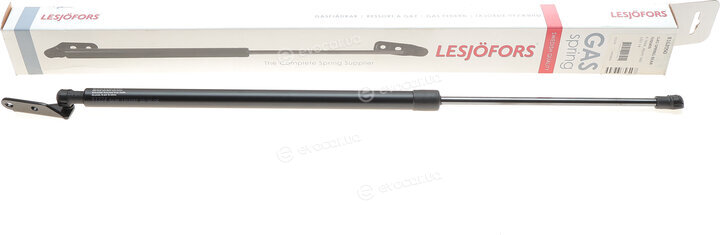 Lesjofors 8162050