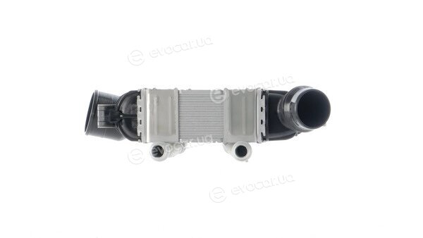 Mahle CI 332 000P