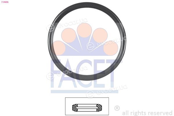 Facet 7.9606