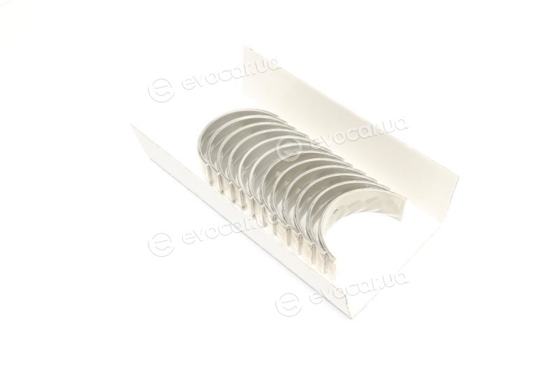 Glyco 71-3857/6 STD
