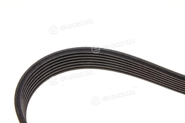 Continental 7PK1051 ELAST