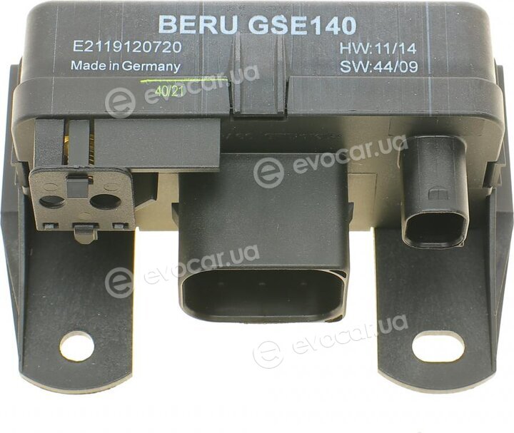 Beru GSE140