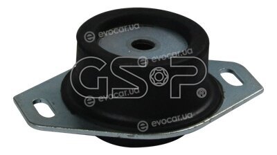 GSP 513398