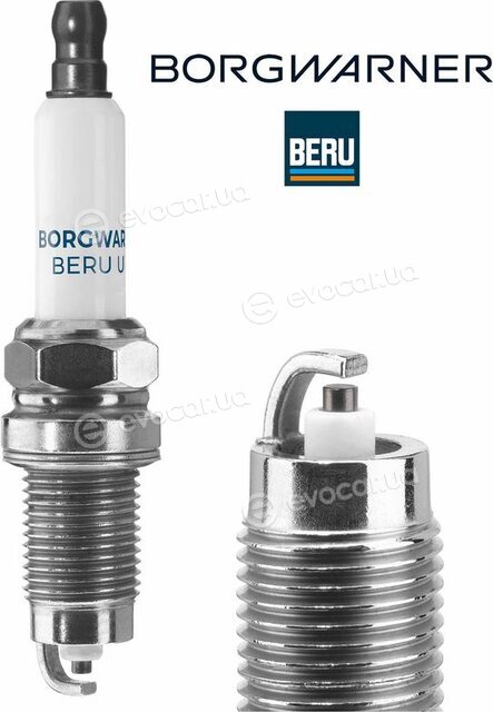 BorgWarner Z272