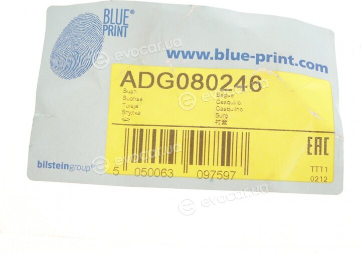 Blue Print ADG080246