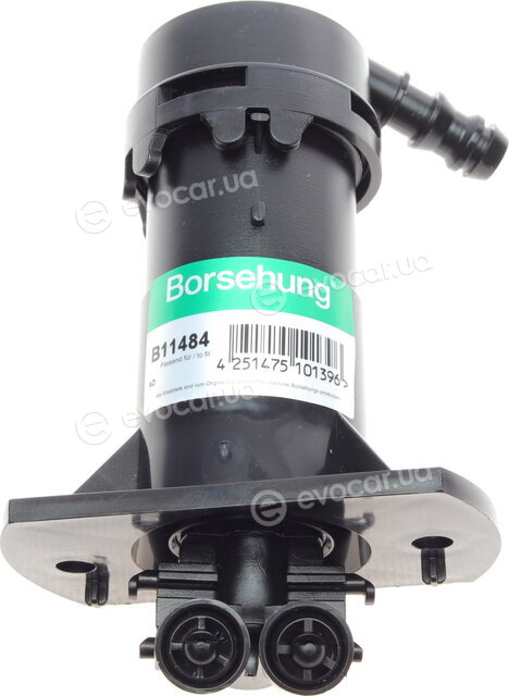 Borsehung B11484