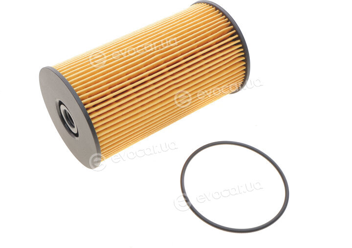 Solgy 102010