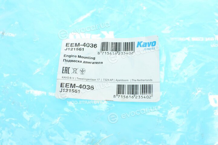 Kavo EEM-4036