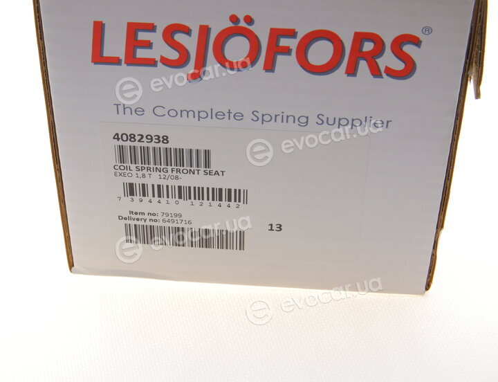 Lesjofors 4082938