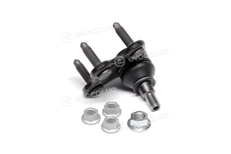 SKF VKDS 311004