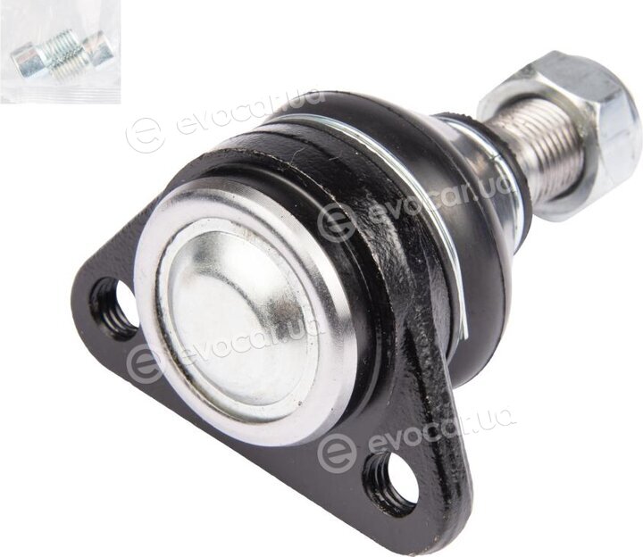 Raiso RL251361W