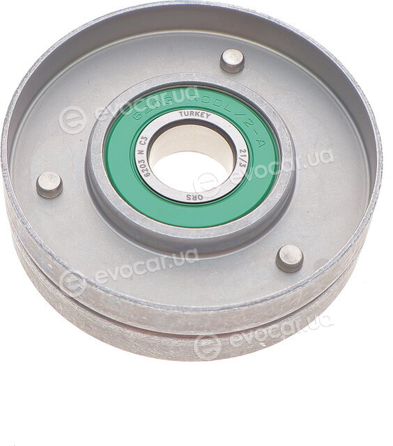 SKF VKM 31017