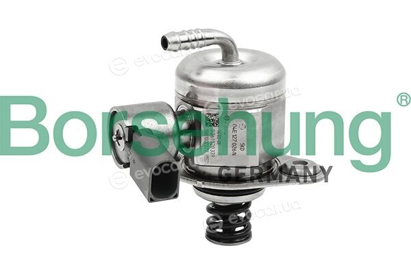 Borsehung B13662