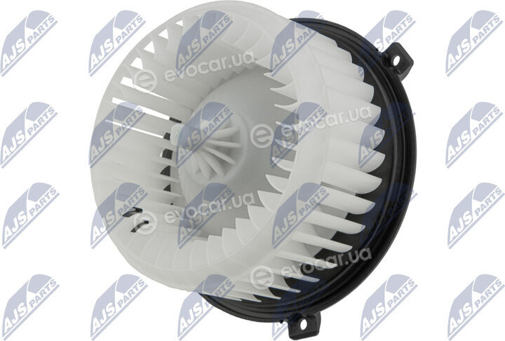 NTY EWN-PL-004