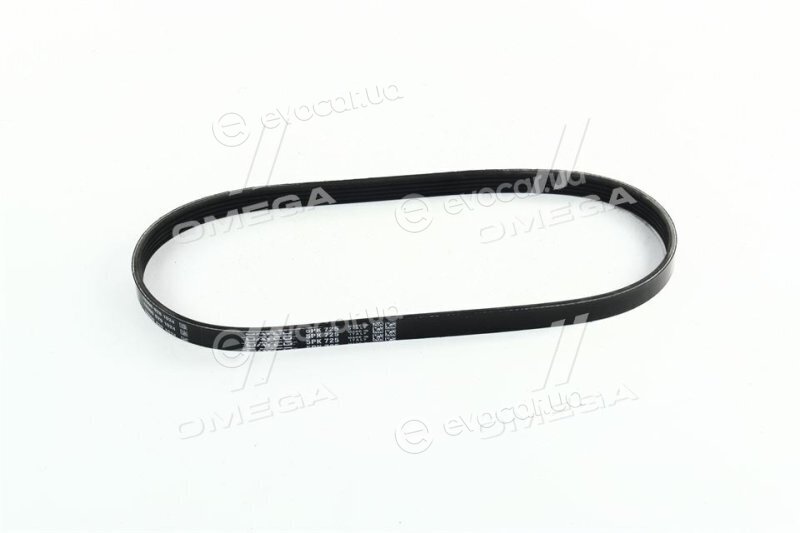 Dayco 5PK725