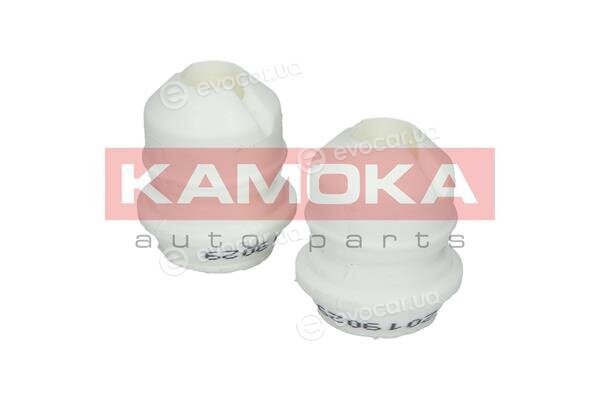 Kamoka 2019029