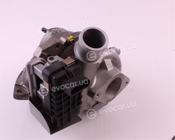 Starline TD S1244T