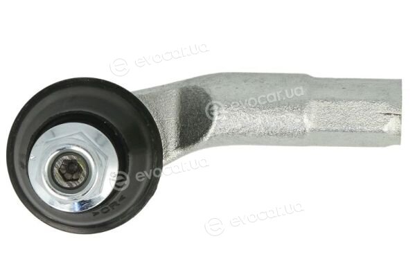 Reinhoch RH01-0036