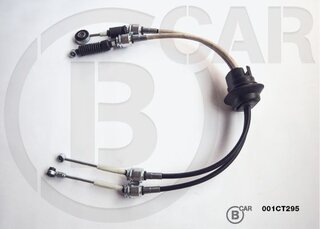 BCAR 001CT295