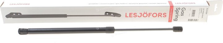 Lesjofors 8137259