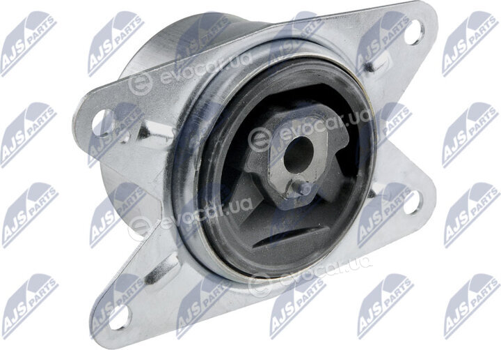 NTY ZPS-PL-009