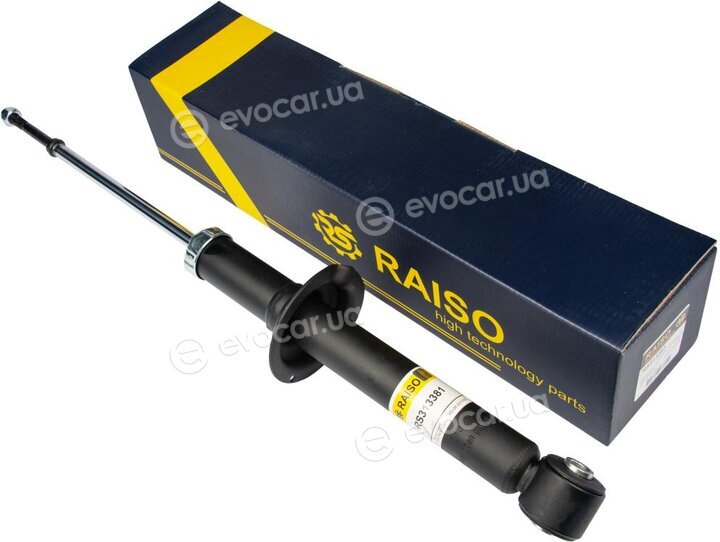 Raiso RS313381