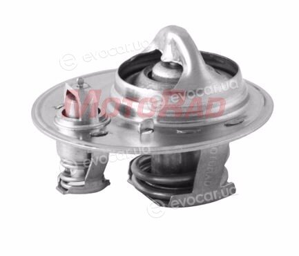 Motorad 561-88K