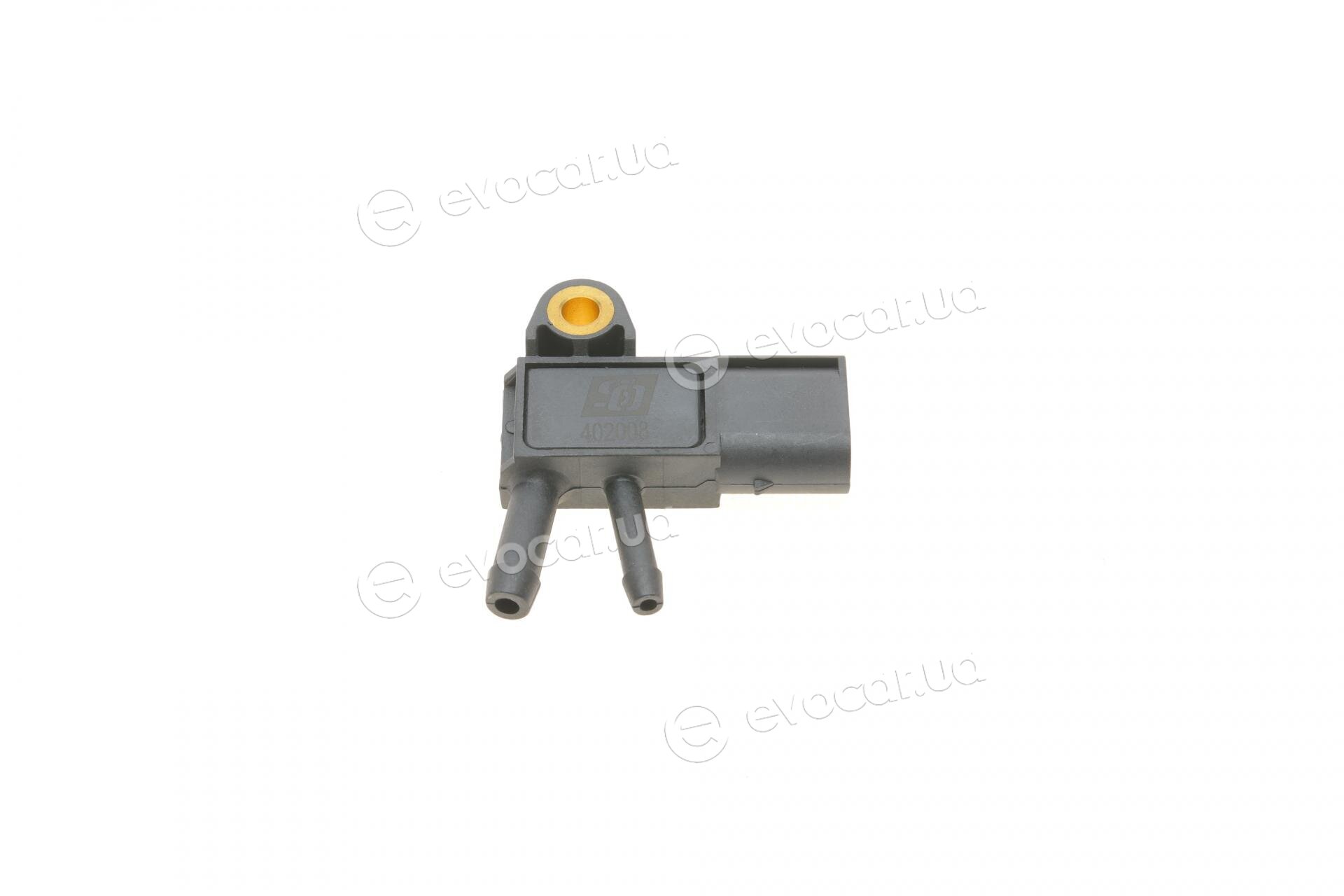 Solgy 402008