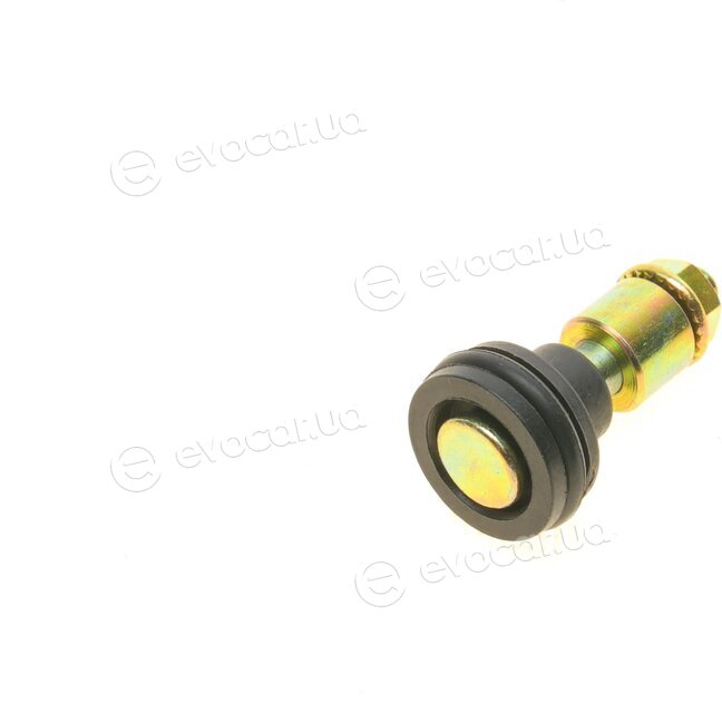 Solgy 306172