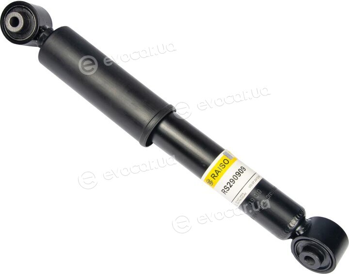 Raiso RS290909