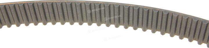 Gates K015537XS
