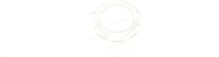 Bosch 0 218 SS0 003