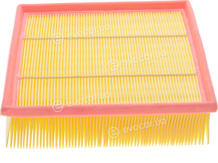 Solgy 103093