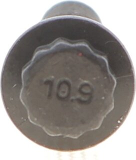 Elring 010.180