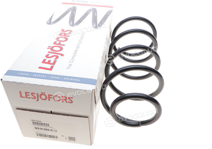 Lesjofors 4027604