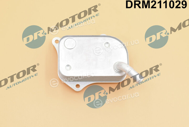 Dr. Motor DRM211029