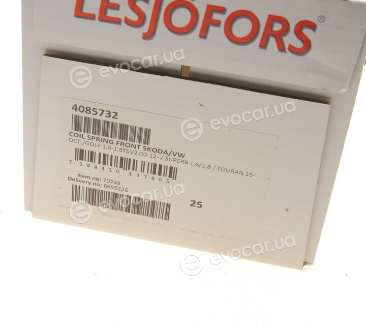 Lesjofors 4085732