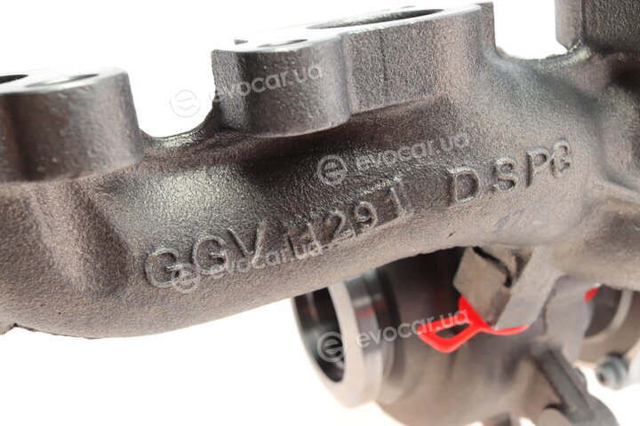 BorgWarner 53039880205