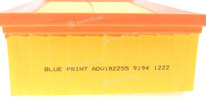 Blue Print ADV182255