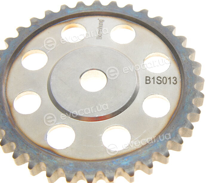 Borsehung B16300
