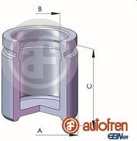 Autofren D025728