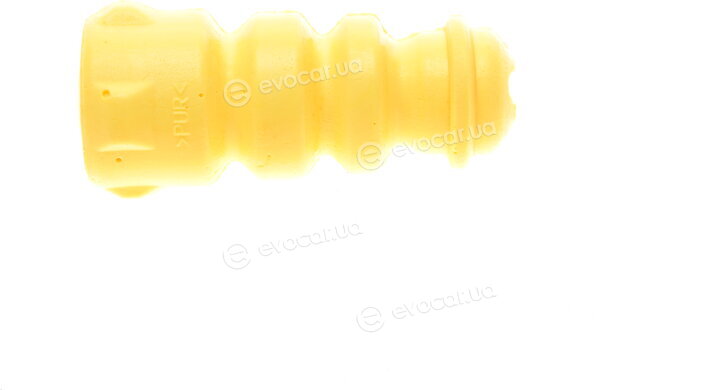 Borsehung B10016