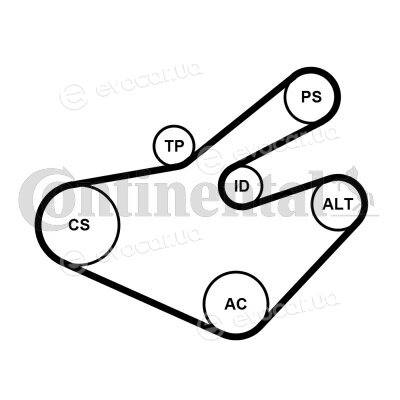 Continental 7PK1795K1