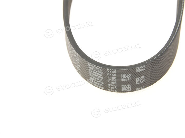 Gates 6PK1043