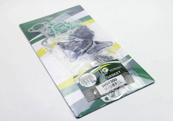 BGA HN4300