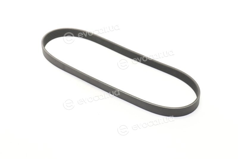 Gates 6PK842SF
