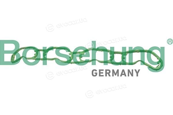 Borsehung B13261